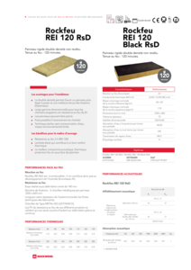 Fiche produit Rockfeu REI 120 Black RsD