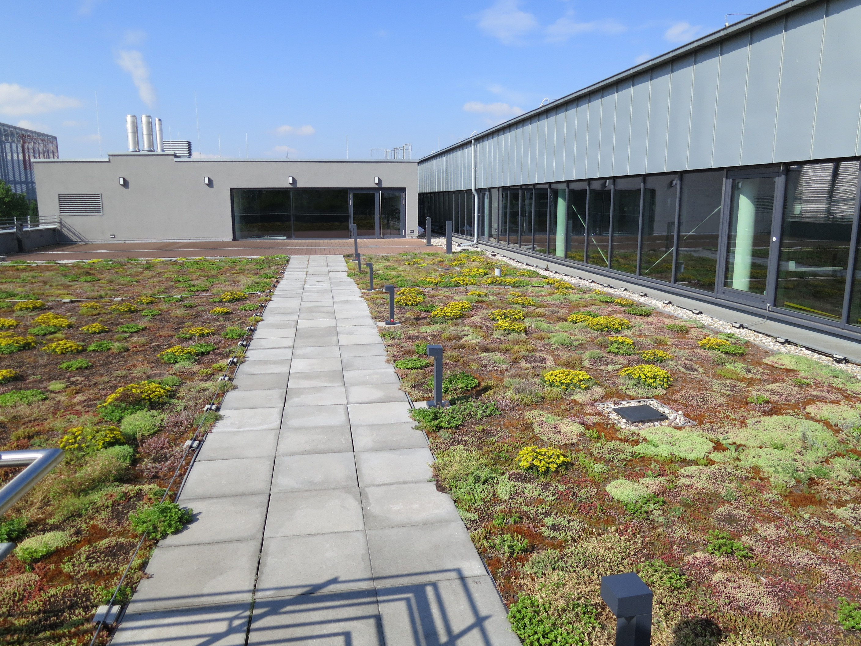 20230202 RW-CWE PHO 1418