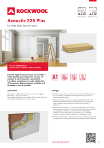 Scheda tecnica: Acoustic 225 Plus