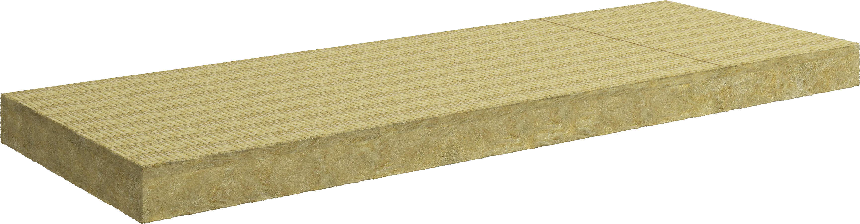 20220203 RW-NC PROD 497