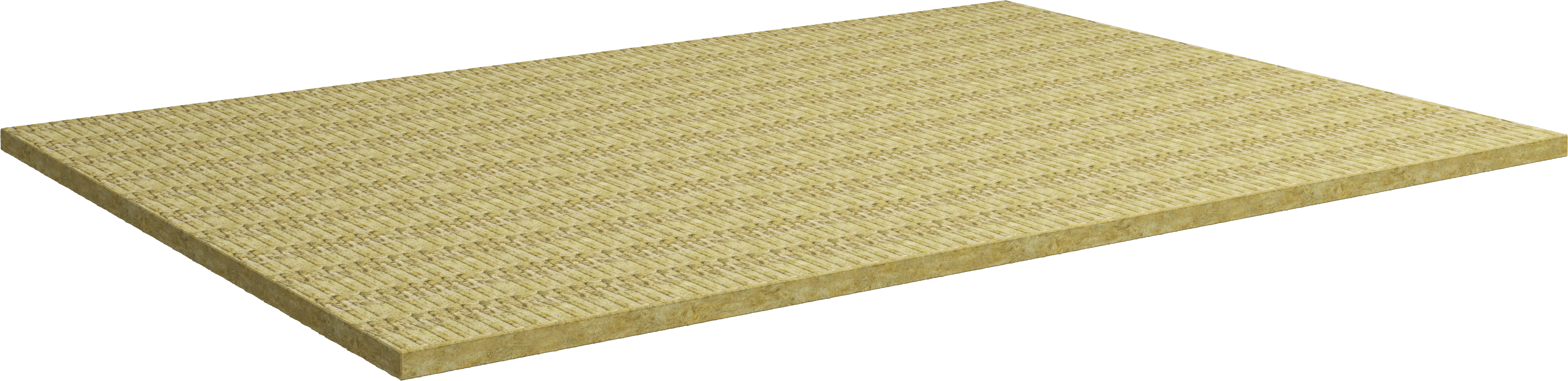 20220203 RW-NC PROD 498