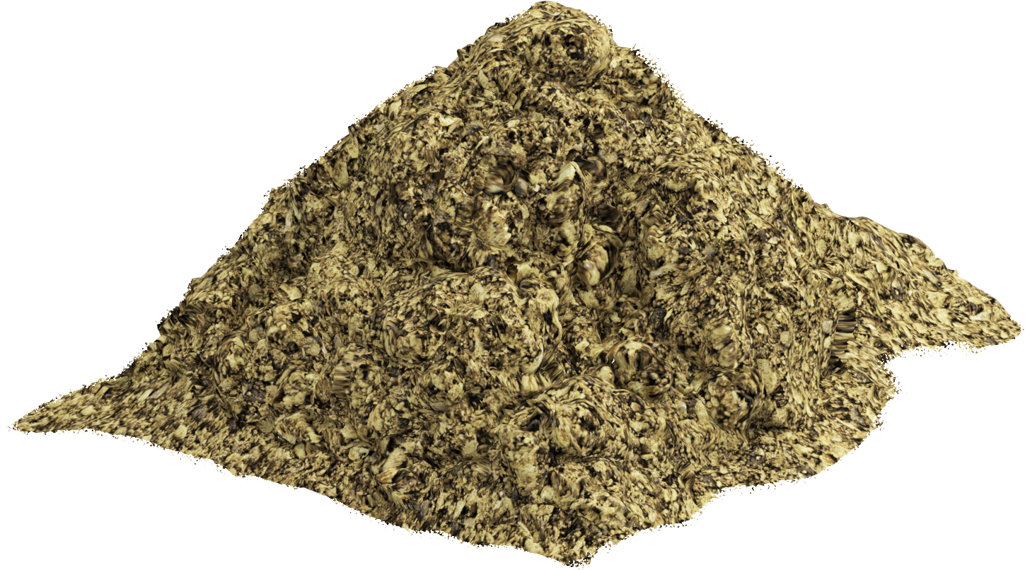 20220124 RW-NC PROD 447