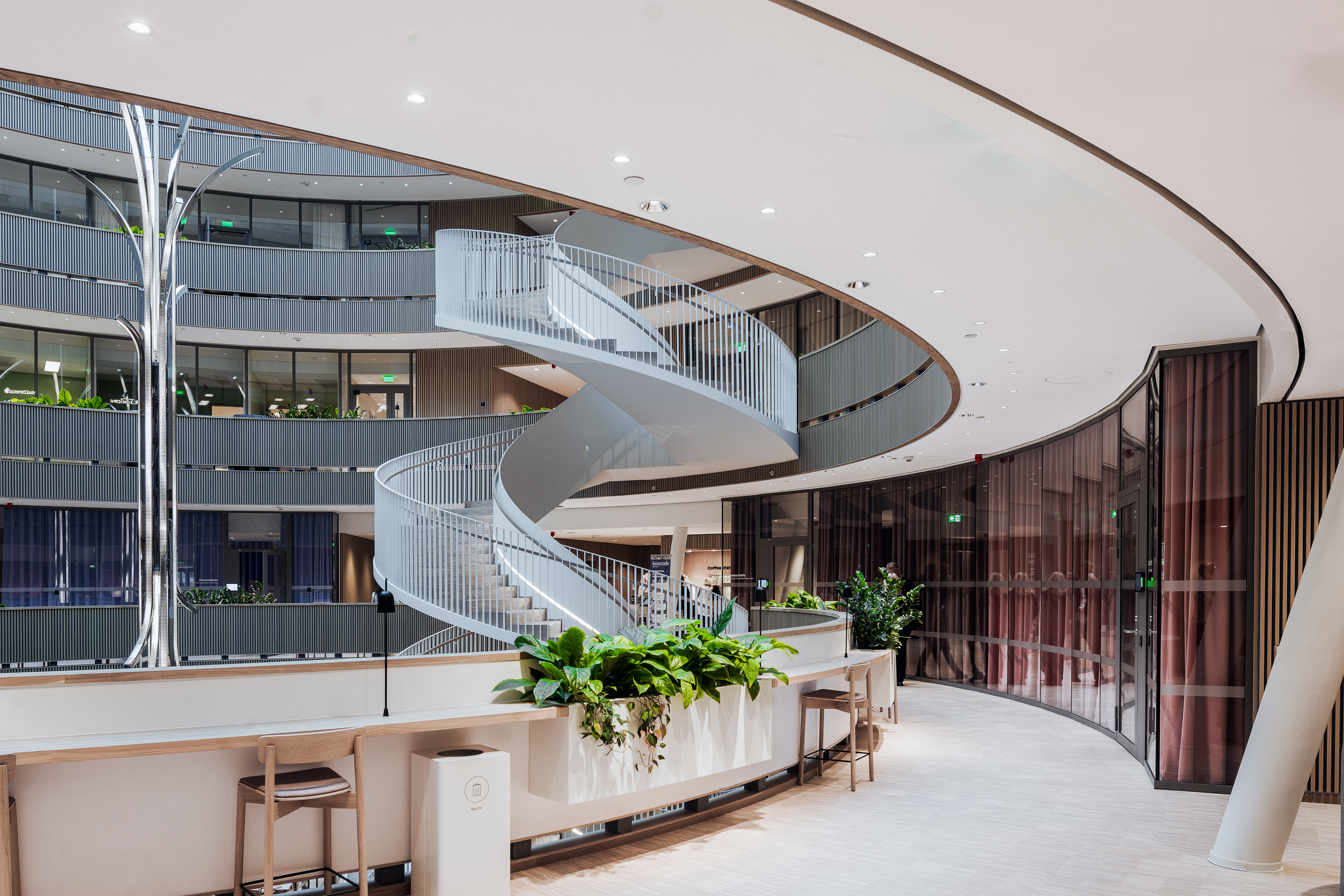 20241218 RW-RF PHO 11037