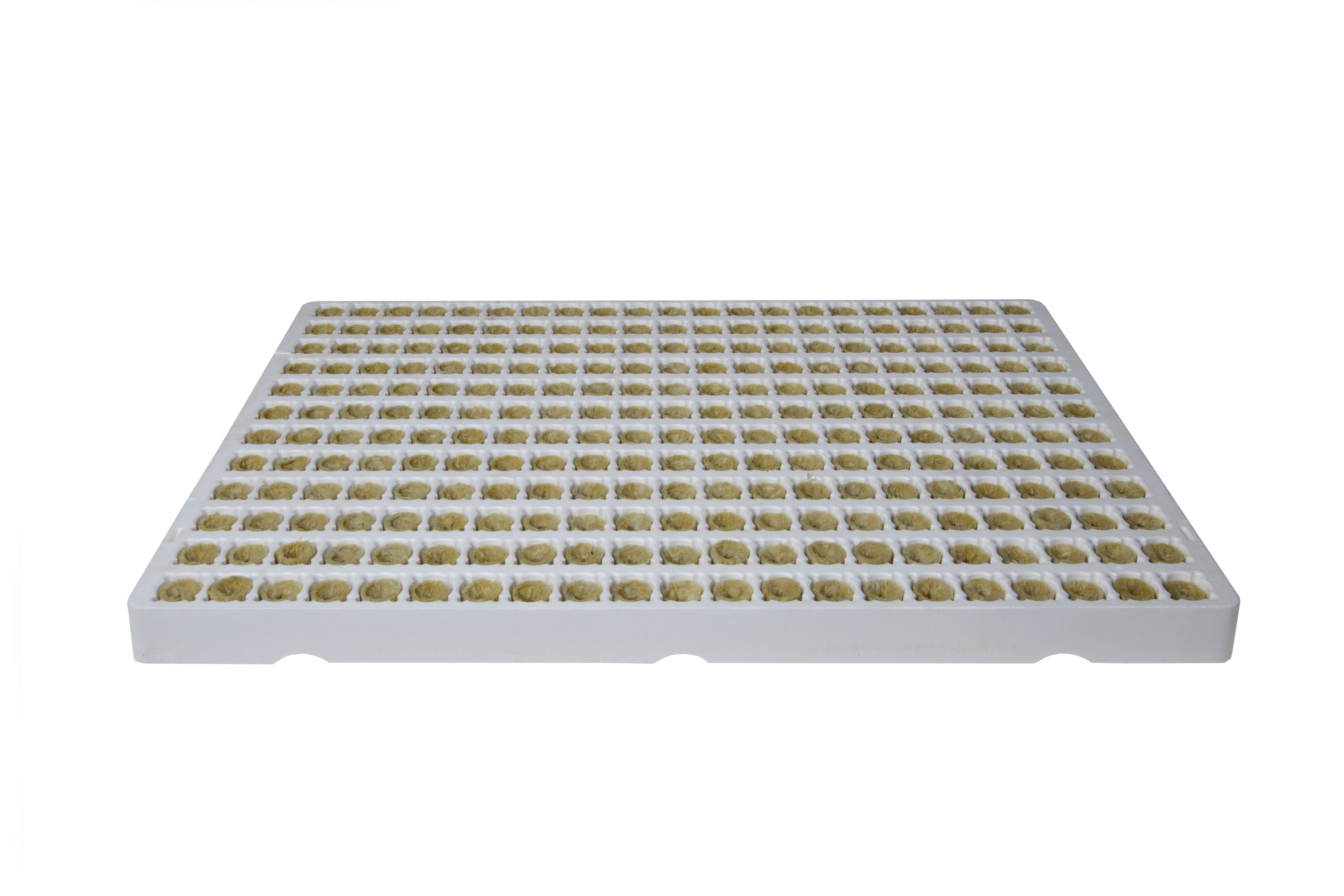 Grodan Plantop NG2.0 Funnel Plugs