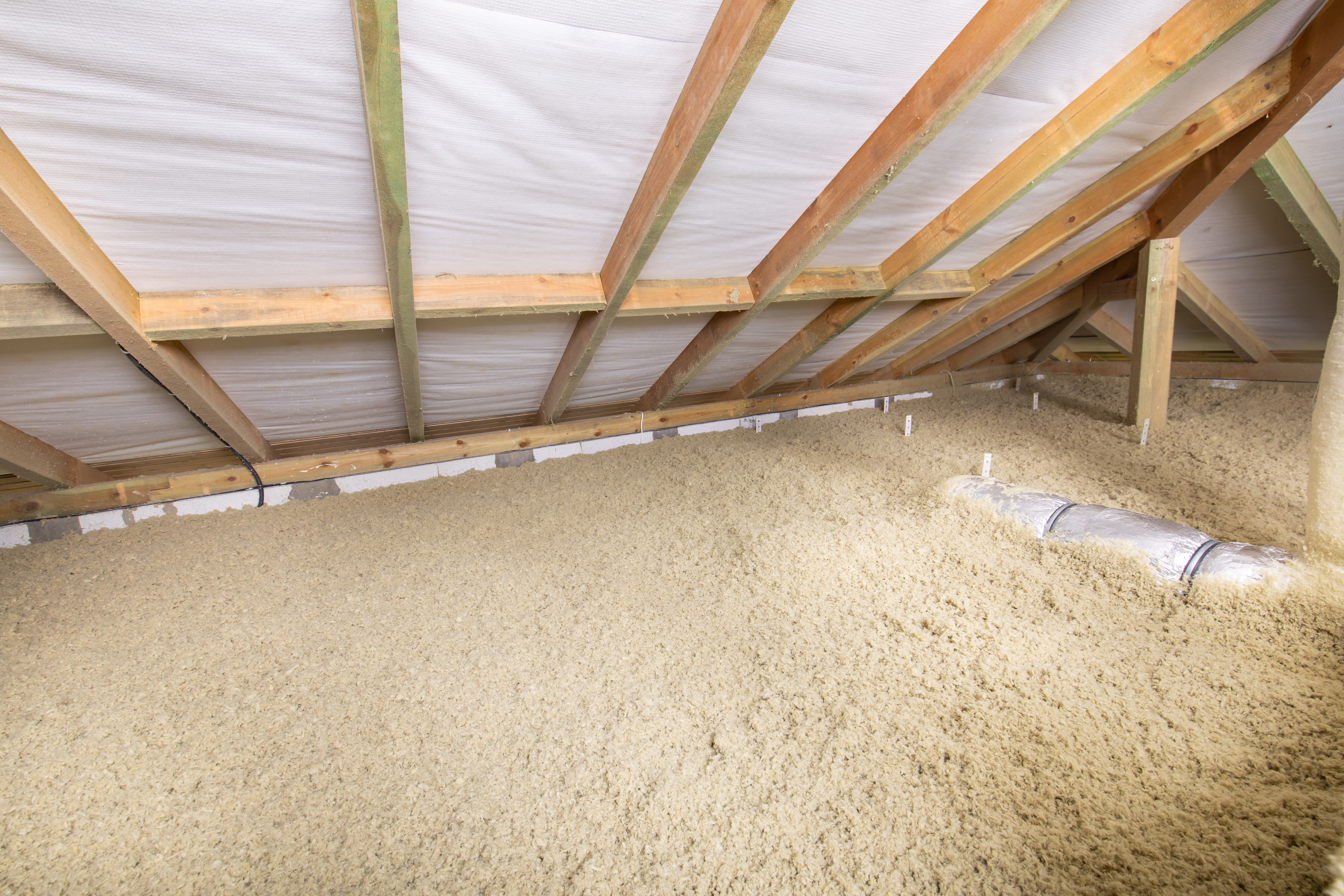 20201118 RW-CEE PHO 453