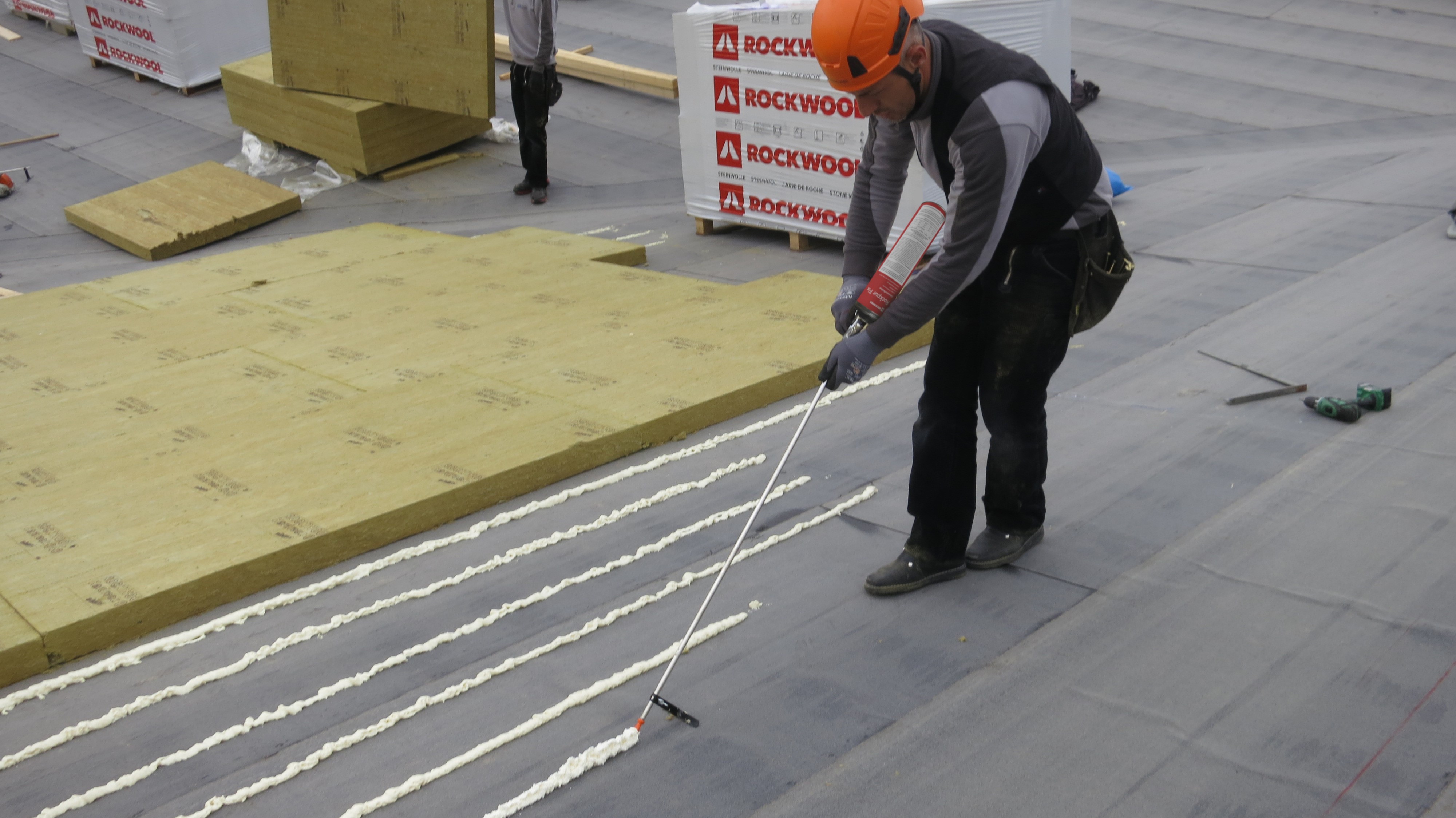 20220328 RW-CWE PROD 1180