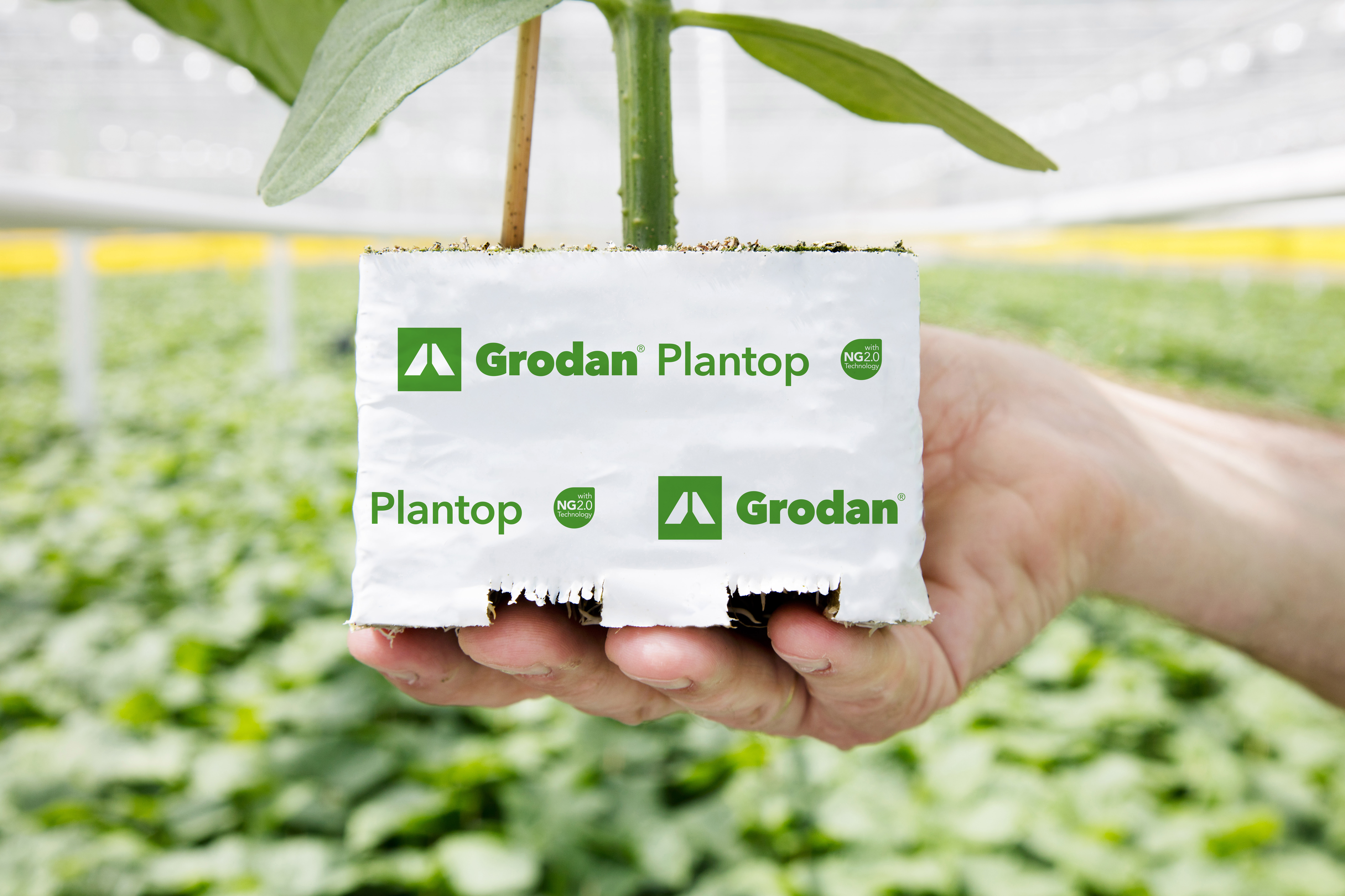 20200415  GR PHO 5142