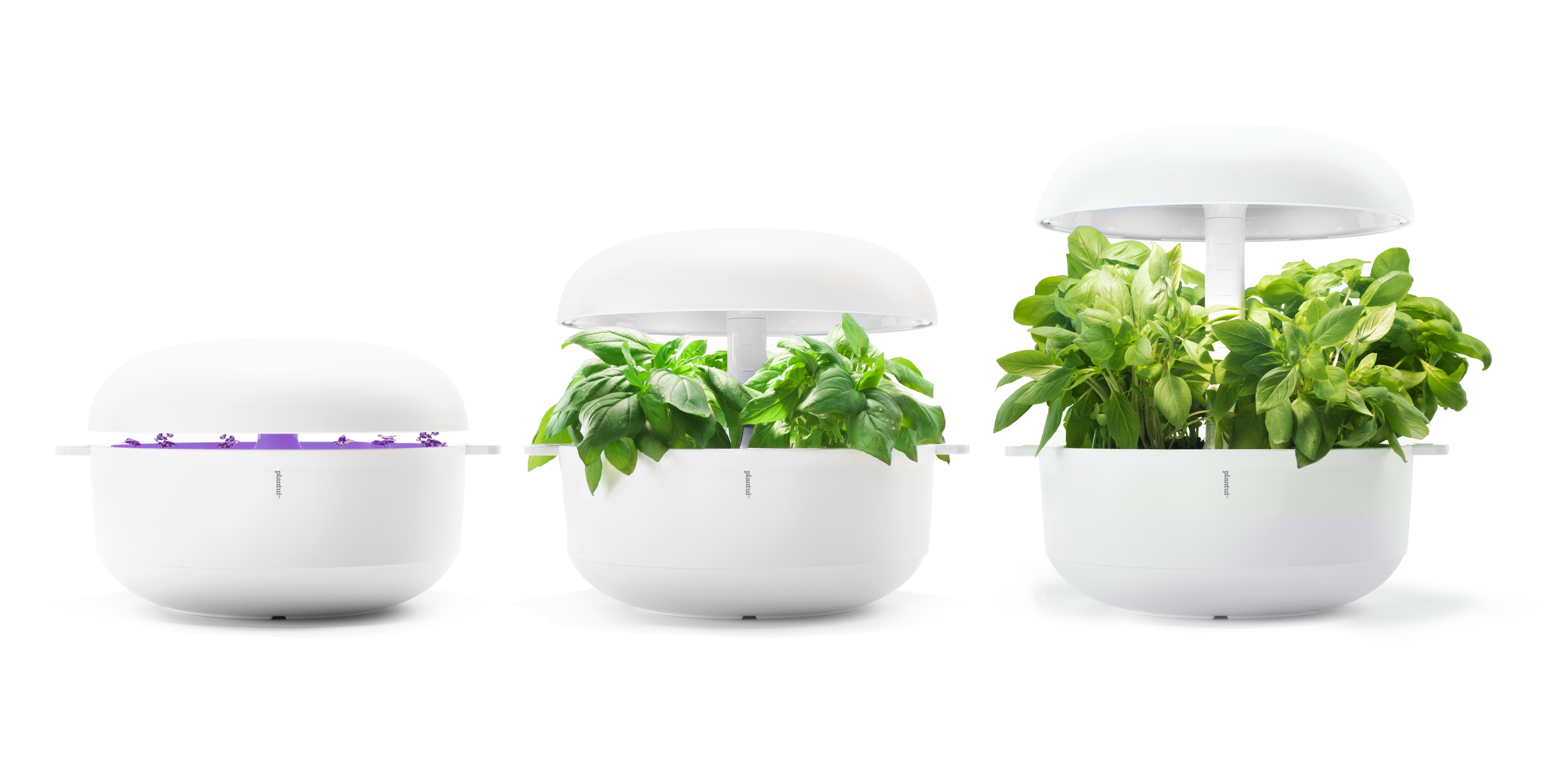 20210701 RW-GR PHO 5482