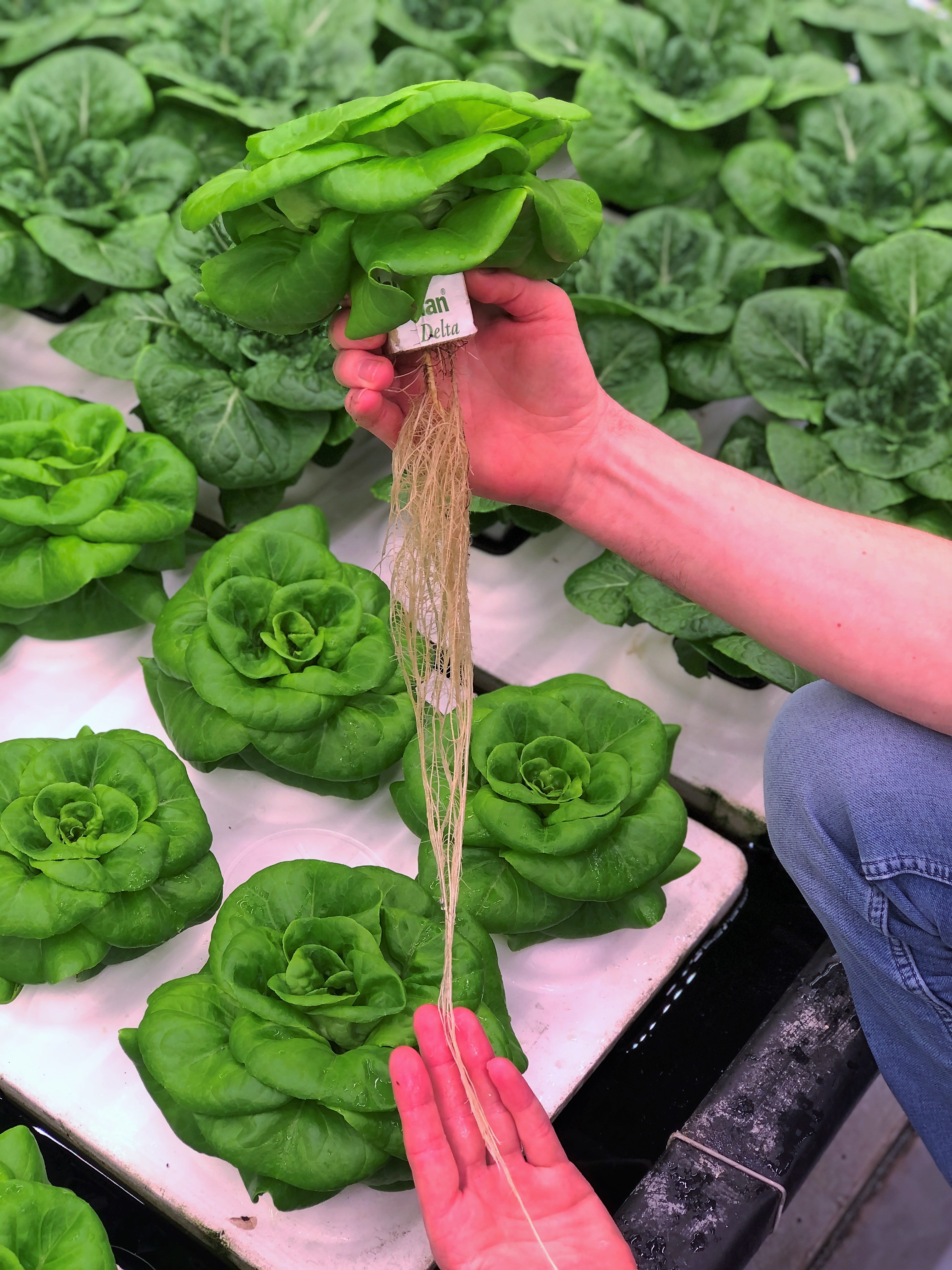 20210329_GR_PHO_5390