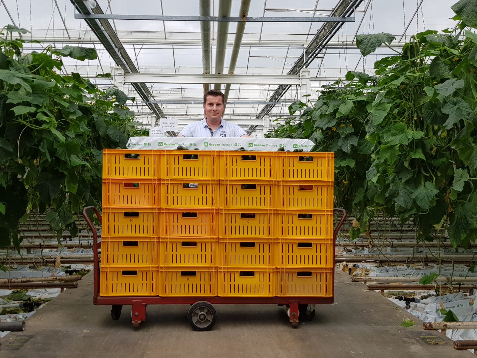 20200429 GR PHO 5186