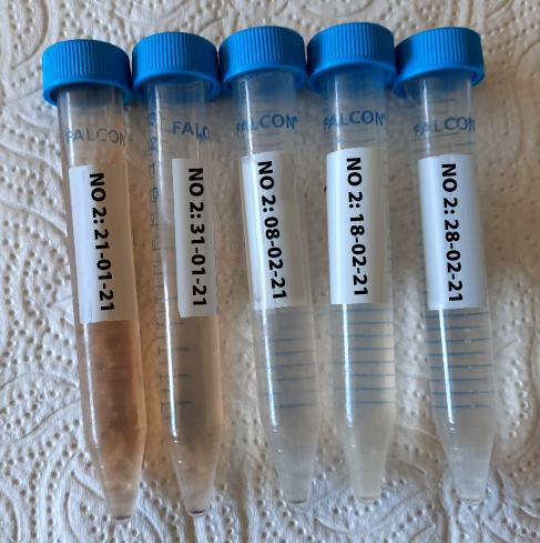 20210520 RW-GR PHO 5460