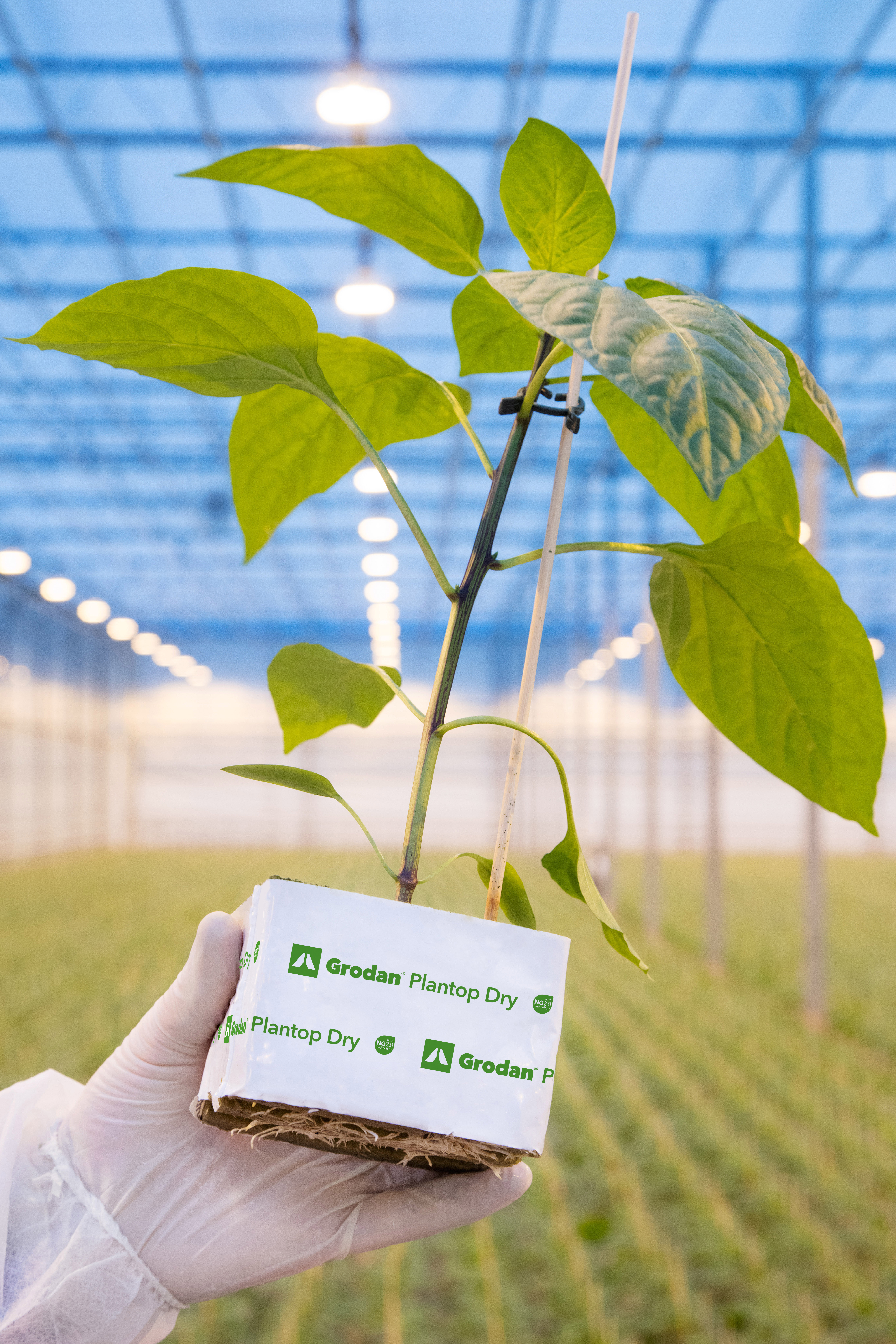 20200415  GR PHO 5141