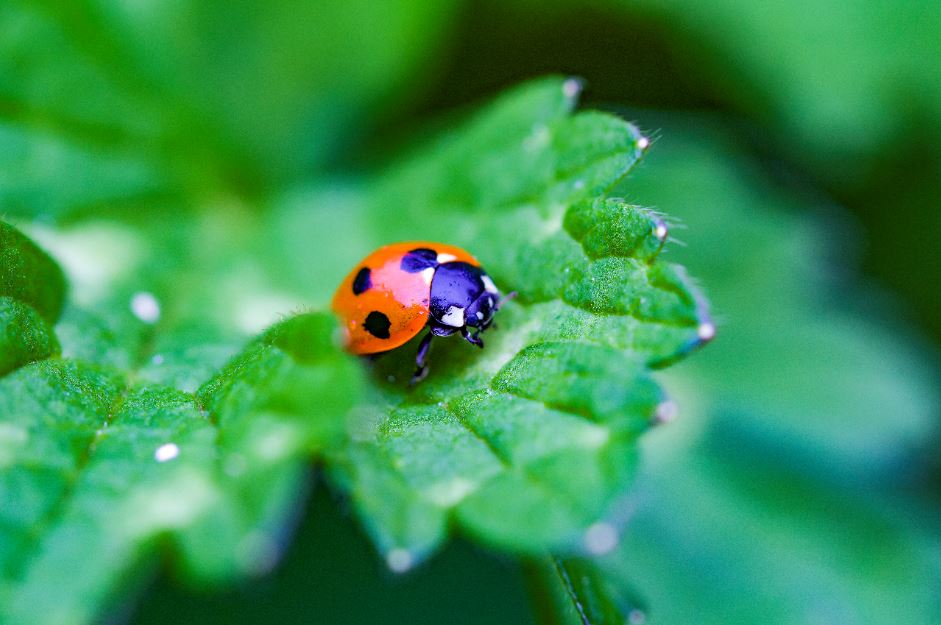 20210520 RW-GR PHO 5460