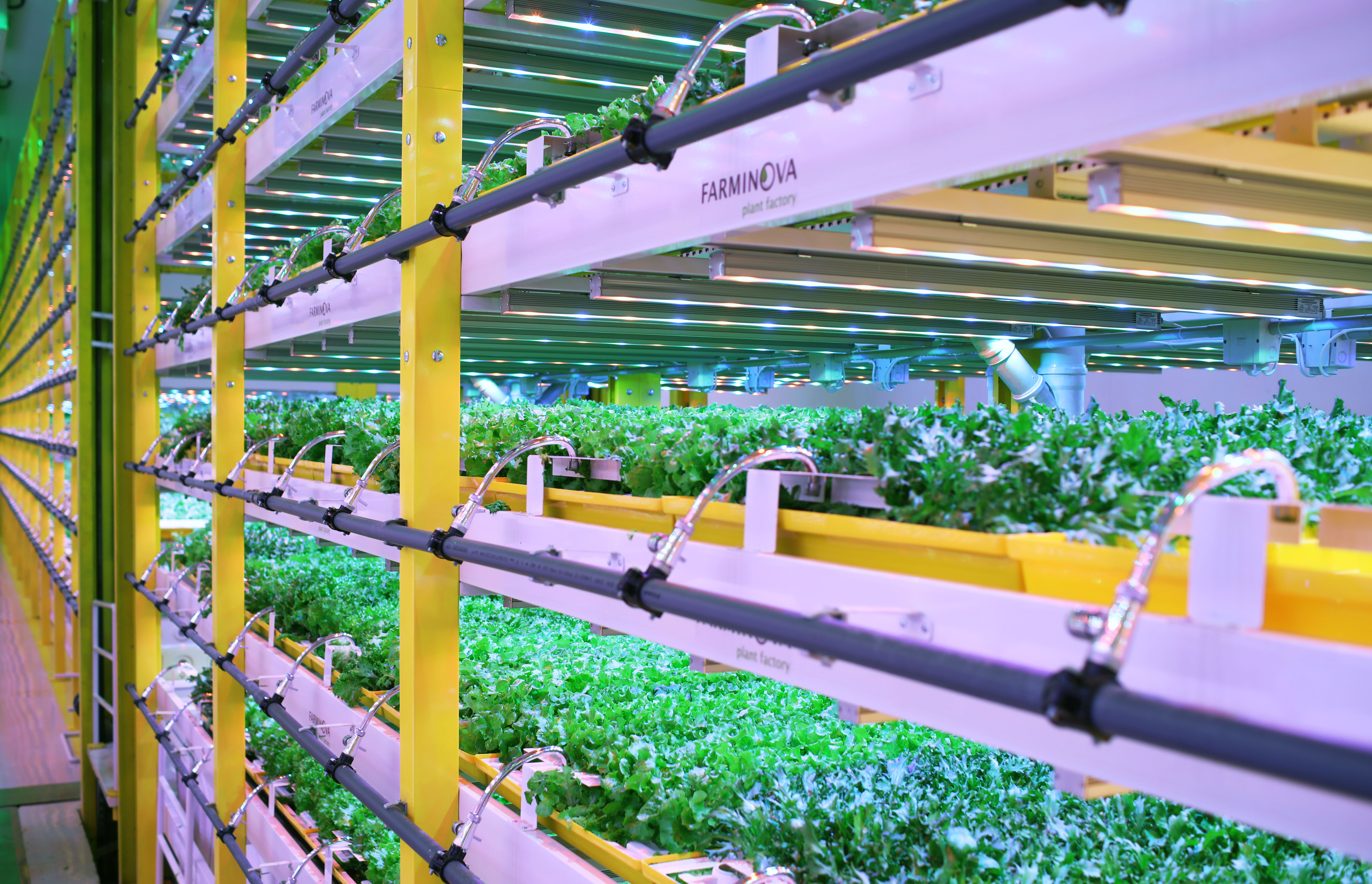 20200729 GR PHO 5266