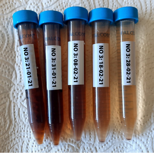 20210520 RW-GR PHO 5460