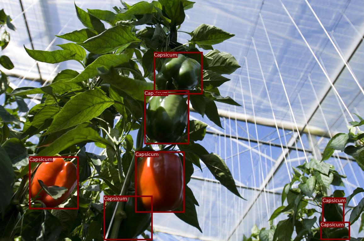 20200423 GR PHO 5182