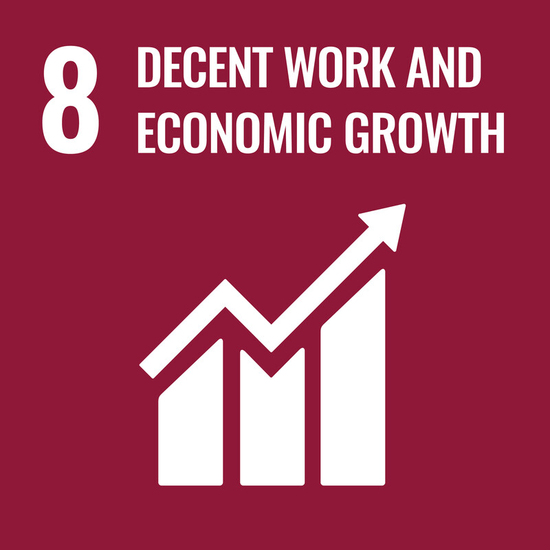 Sustainable Development Goal pictogram number 8