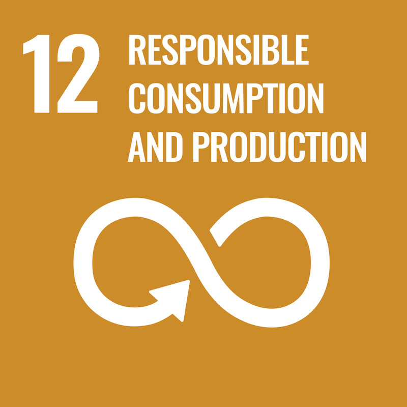Sustainable Development Goal pictogram number 12