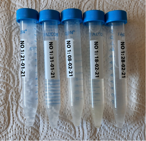 20210520 RW-GR PHO 5460