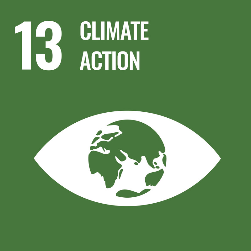 Sustainable Development Goal pictogram number 13